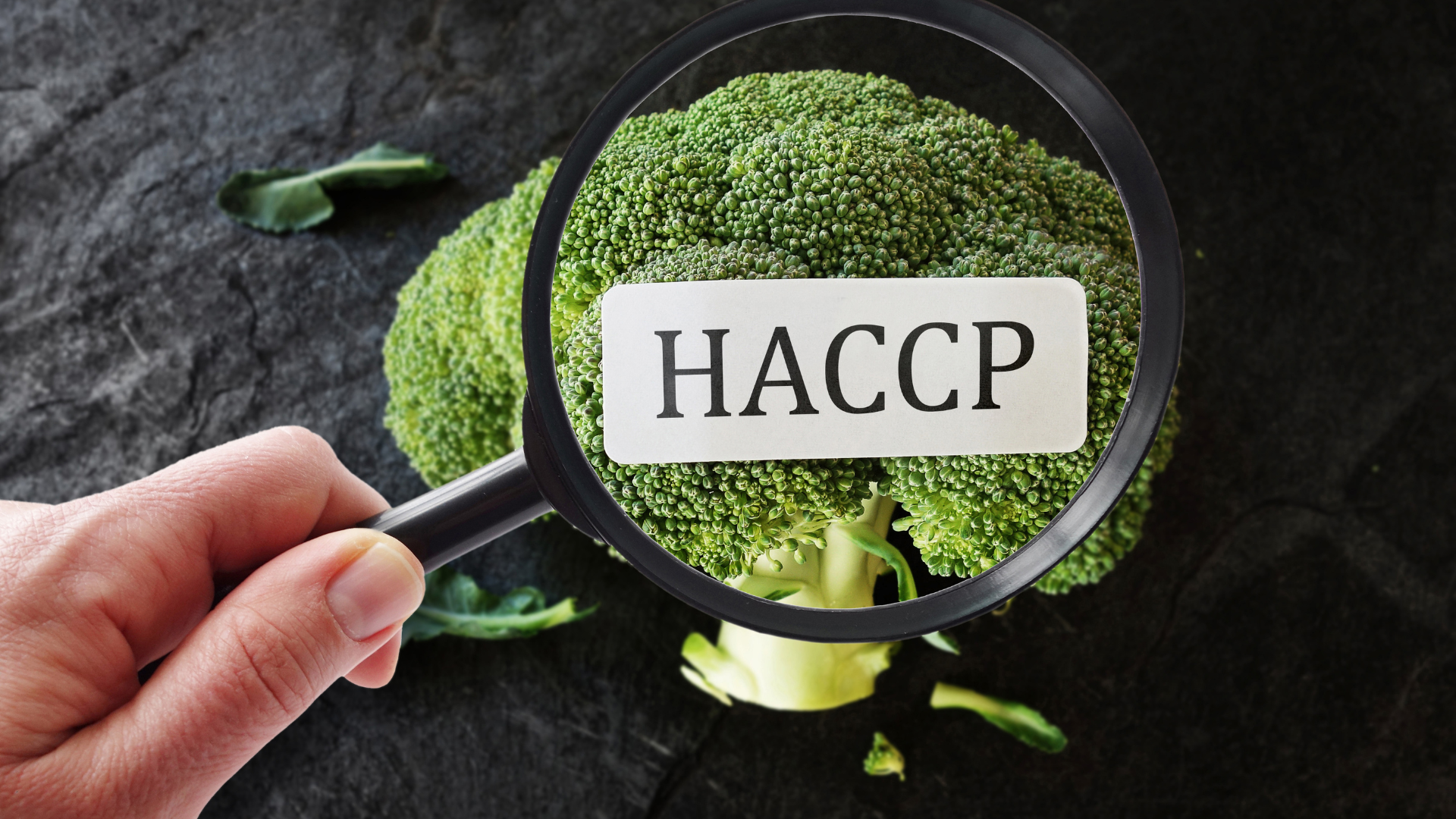 HACCP é um programa importante na segurança de alimentos.