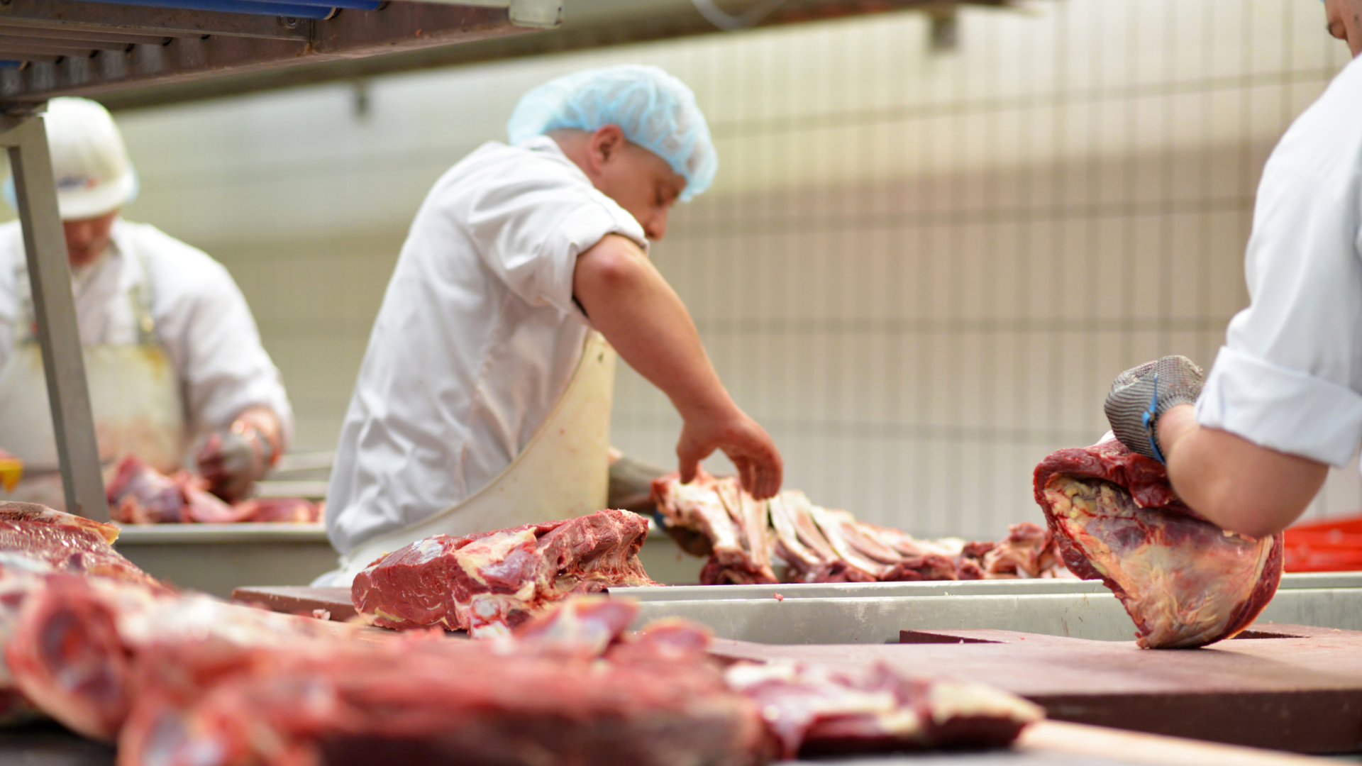 segurança de alimentos e segurança alimentar não são só palavras diferentes – são mundos diferentes.